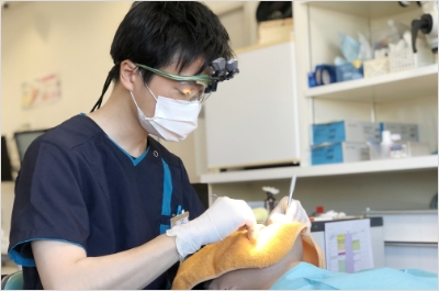 歯科医師 平岡